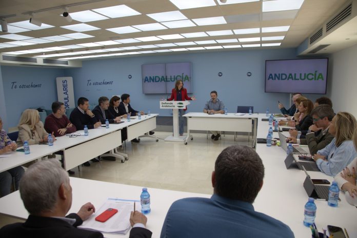 Navarro imagen Equipo Campaña 6 abril 2026 (3)